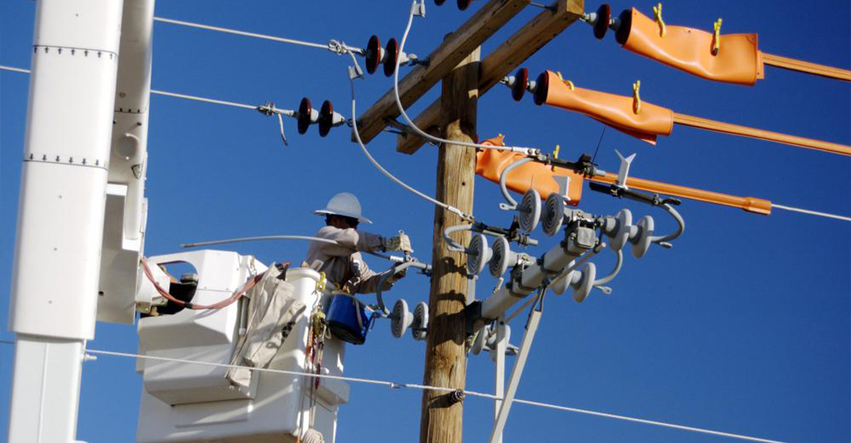 Image of Why do I need to use overhead covered line low voltage surge arrester?