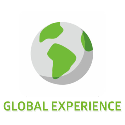 5.Global experience